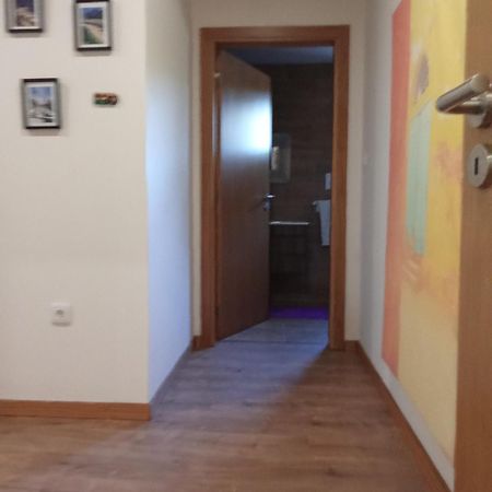 Suites Passadicos Do Paiva E Ponte Suspensa 辛方伊什 外观 照片